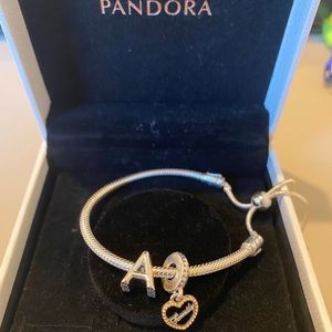 Pandora bracket NEW